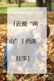 近观“两山”丨西溪往事