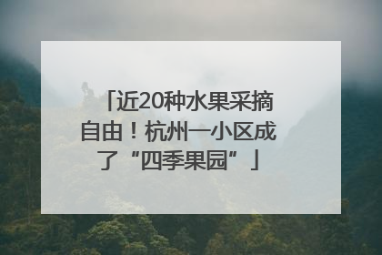近20种水果采摘自由！杭州一小区成了“四季果园”