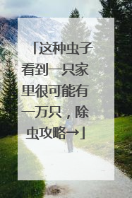 这种虫子看到一只家里很可能有一万只，除虫攻略→