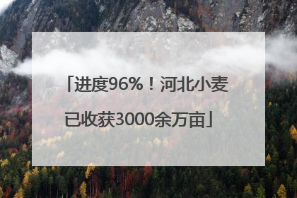进度96%！河北小麦已收获3000余万亩