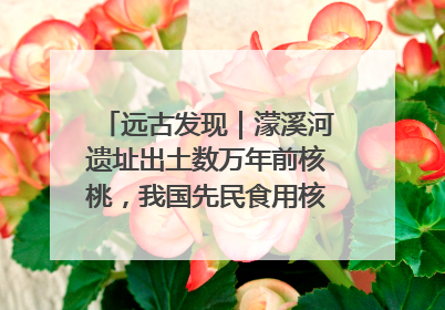 远古发现｜濛溪河遗址出土数万年前核桃，我国先民食用核桃历史大幅提前