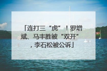 连打三“虎”！罗增斌、马丰胜被“双开”，李石松被公诉