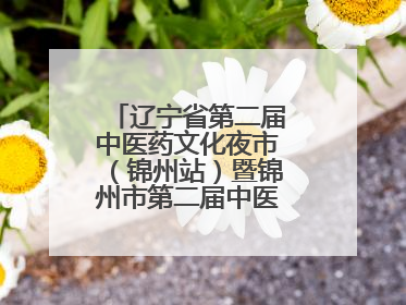 辽宁省第二届中医药文化夜市（锦州站）暨锦州市第二届中医康养夜市启幕