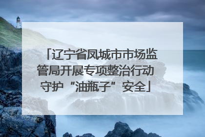 辽宁省凤城市市场监管局开展专项整治行动守护“油瓶子”安全