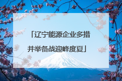 辽宁能源企业多措并举备战迎峰度夏