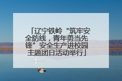 辽宁铁岭“筑牢安全防线，青年勇当先锋”安全生产进校园主题团日活动举行