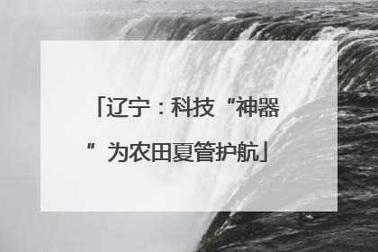 辽宁：科技“神器”为农田夏管护航