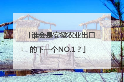 谁会是安徽农业出口的下一个NO.1？
