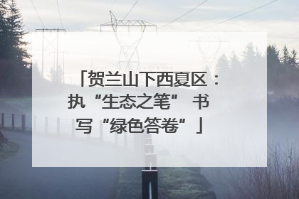 贺兰山下西夏区：执“生态之笔” 书写“绿色答卷”