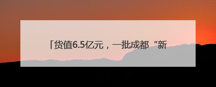 货值6.5亿元，一批成都“新津造”产品组团“飞向”欧洲！