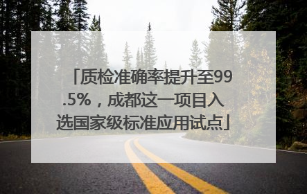 质检准确率提升至99.5%，成都这一项目入选国家级标准应用试点
