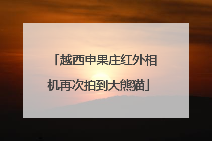 越西申果庄红外相机再次拍到大熊猫