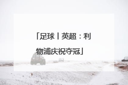 足球丨英超：利物浦庆祝夺冠