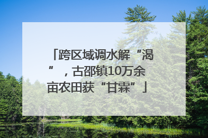 跨区域调水解“渴”，古邵镇10万余亩农田获“甘霖”