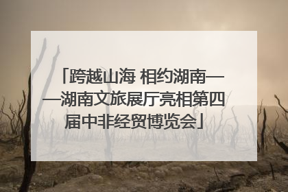 跨越山海 相约湖南——湖南文旅展厅亮相第四届中非经贸博览会