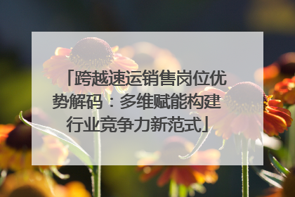 跨越速运销售岗位优势解码：多维赋能构建行业竞争力新范式
