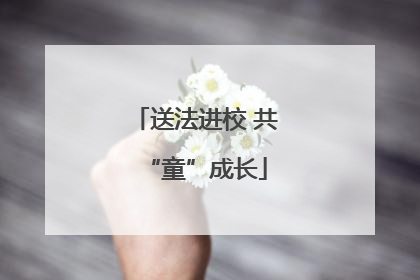 送法进校 共“童”成长