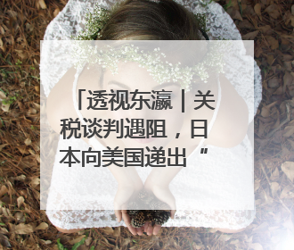 透视东瀛｜关税谈判遇阻，日本向美国递出“投名状”