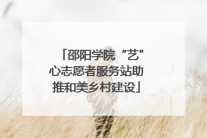 邵阳学院“艺”心志愿者服务站助推和美乡村建设
