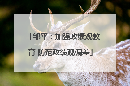 邹平：加强政绩观教育 防范政绩观偏差