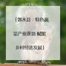 邻水县：特色蔬菜产业蓬勃 赋能乡村经济发展