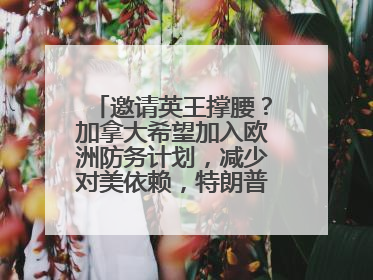邀请英王撑腰？加拿大希望加入欧洲防务计划，减少对美依赖，特朗普：成为美国第51个州，免费用“金穹”