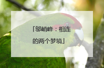 邬峭峰：相连的两个梦境