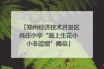 郑州经济技术开发区肖庄小学“面上生花小小非遗馆”揭幕