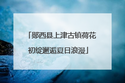 郧西县上津古镇荷花初绽邂逅夏日浪漫