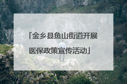 金乡县鱼山街道开展医保政策宣传活动