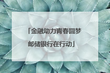 金融助力青春圆梦邮储银行在行动