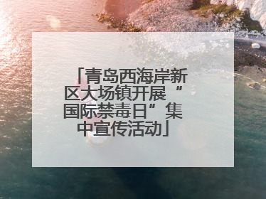 青岛西海岸新区大场镇开展“国际禁毒日”集中宣传活动