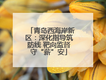 青岛西海岸新区：深化指导筑防线 靶向监督守“薪”安