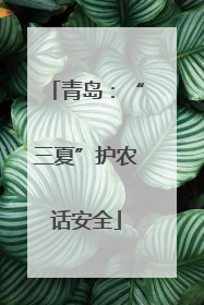 青岛：“三夏”护农话安全