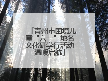 青州市困境儿童“六一”地名文化研学行活动温暖启航