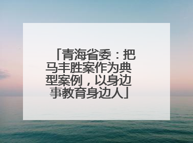 青海省委：把马丰胜案作为典型案例，以身边事教育身边人