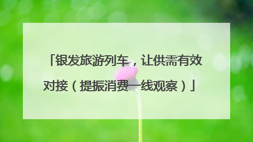 银发旅游列车，让供需有效对接（提振消费一线观察）