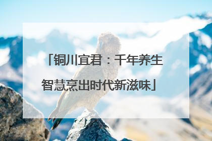 铜川宜君：千年养生智慧烹出时代新滋味