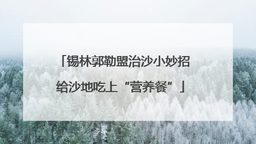锡林郭勒盟治沙小妙招 给沙地吃上“营养餐”
