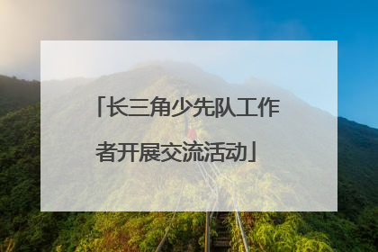 长三角少先队工作者开展交流活动