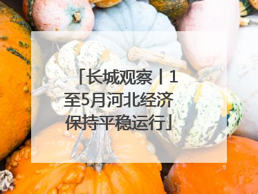 长城观察丨1至5月河北经济保持平稳运行