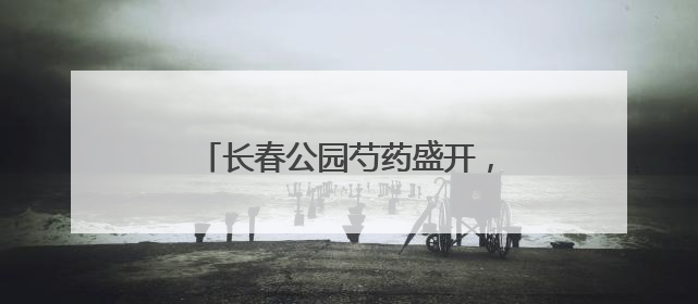 长春公园芍药盛开，演绎初夏浪漫华章