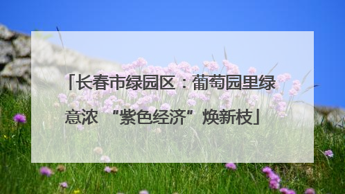 长春市绿园区：葡萄园里绿意浓 “紫色经济”焕新枝