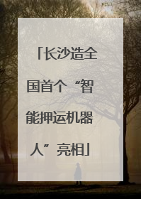 长沙造全国首个“智能押运机器人”亮相