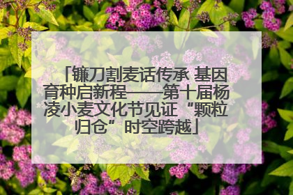 镰刀割麦话传承 基因育种启新程——第十届杨凌小麦文化节见证“颗粒归仓”时空跨越