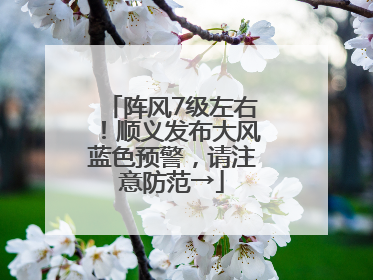 阵风7级左右！顺义发布大风蓝色预警，请注意防范→