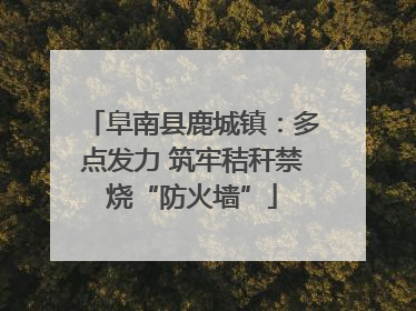 阜南县鹿城镇：多点发力 筑牢秸秆禁烧“防火墙”