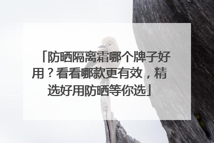 防晒隔离霜哪个牌子好用？看看哪款更有效，精选好用防晒等你选