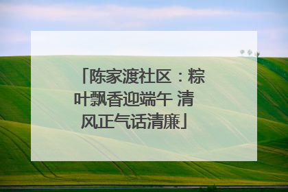 陈家渡社区：粽叶飘香迎端午 清风正气话清廉