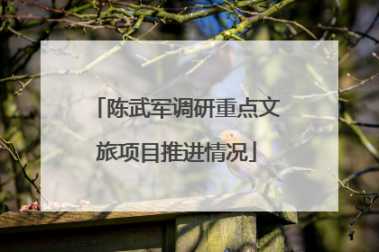 陈武军调研重点文旅项目推进情况